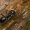 Juodoji medžių skruzdėlė - Lasius fuliginosus  | Fotografijos autorius : Gintautas Steiblys | © Macronature.eu | Macro photography web site