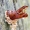 Gluosninis medgręžis - Cossus cossus, lėliukė | Fotografijos autorius : Gediminas Gražulevičius | © Macrogamta.lt | Šis tinklapis priklauso bendruomenei kuri domisi makro fotografija ir fotografuoja gyvąjį makro pasaulį.