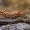 Rūgštyninis strėlinukas - Acronicta rumicis, vikšras | Fotografijos autorius : Dalia Račkauskaitė | © Macronature.eu | Macro photography web site