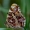 Mažasis dilgėlinukas - Araschnia levana | Fotografijos autorius : Romas Ferenca | © Macronature.eu | Macro photography web site