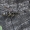Juodasis stiklasparnis - Paranthrene tabaniformis | Fotografijos autorius : Giedrius Markevičius | © Macrogamta.lt | Šis tinklapis priklauso bendruomenei kuri domisi makro fotografija ir fotografuoja gyvąjį makro pasaulį.