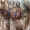 Tuopinis grybvabalis - Mycetophagus populi | Fotografijos autorius : Gintautas Steiblys | © Macrogamta.lt | Šis tinklapis priklauso bendruomenei kuri domisi makro fotografija ir fotografuoja gyvąjį makro pasaulį.