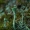 Skutuotoji šiurė - Cladonia fimbriata  | Fotografijos autorius : Irenėjas Urbonavičius | © Macrogamta.lt | Šis tinklapis priklauso bendruomenei kuri domisi makro fotografija ir fotografuoja gyvąjį makro pasaulį.