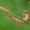 Šimtakojis dviporiakojis - Diplopoda sp.  | Fotografijos autorius : Gintautas Steiblys | © Macrogamta.lt | Šis tinklapis priklauso bendruomenei kuri domisi makro fotografija ir fotografuoja gyvąjį makro pasaulį.