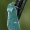 Žaliasis naktinukas - Calamia tridens | Fotografijos autorius : Gintautas Steiblys | © Macrogamta.lt | Šis tinklapis priklauso bendruomenei kuri domisi makro fotografija ir fotografuoja gyvąjį makro pasaulį.