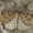 Šilkasparnis sprindžius - Triphosa dubitata | Fotografijos autorius : Gintautas Steiblys | © Macrogamta.lt | Šis tinklapis priklauso bendruomenei kuri domisi makro fotografija ir fotografuoja gyvąjį makro pasaulį.