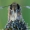Thymelicus sylvestris - Raudonbuožis storgalvis | Fotografijos autorius : Arūnas Eismantas | © Macrogamta.lt | Šis tinklapis priklauso bendruomenei kuri domisi makro fotografija ir fotografuoja gyvąjį makro pasaulį.