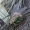 Musė siurbikė - Ornithomya avicularia | Fotografijos autorius : Romas Ferenca | © Macrogamta.lt | Šis tinklapis priklauso bendruomenei kuri domisi makro fotografija ir fotografuoja gyvąjį makro pasaulį.