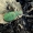 Cicindela campestris - Žaliasis šoklys | Fotografijos autorius : Deividas Makavičius | © Macrogamta.lt | Šis tinklapis priklauso bendruomenei kuri domisi makro fotografija ir fotografuoja gyvąjį makro pasaulį.