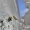 Žalsvasis kuprys - Gibbaranea gibbosa | Fotografijos autorius : Deividas Makavičius | © Macrogamta.lt | Šis tinklapis priklauso bendruomenei kuri domisi makro fotografija ir fotografuoja gyvąjį makro pasaulį.