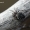 Miškinis tūnoklis - Nuctenea silvicultrix | Fotografijos autorius : Valdimantas Grigonis | © Macrogamta.lt | Šis tinklapis priklauso bendruomenei kuri domisi makro fotografija ir fotografuoja gyvąjį makro pasaulį.