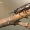 Tenthredinidae - Tikrasis pjūklelis | Fotografijos autorius : Vilius Grigaliūnas | © Macrogamta.lt | Šis tinklapis priklauso bendruomenei kuri domisi makro fotografija ir fotografuoja gyvąjį makro pasaulį.