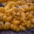 Citri̇ninė geltontaurė - Calycina citrina | Fotografijos autorius : Žilvinas Pūtys | © Macrogamta.lt | Šis tinklapis priklauso bendruomenei kuri domisi makro fotografija ir fotografuoja gyvąjį makro pasaulį.