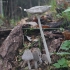 Ilgakotė mėšlabudė - Coprinopsis lagopus | Fotografijos autorius : Vytautas Gluoksnis | © Macrogamta.lt | Šis tinklapis priklauso bendruomenei kuri domisi makro fotografija ir fotografuoja gyvąjį makro pasaulį.