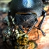 Lesser stag beetle - Dorcus parallelipipedus | Fotografijos autorius : Oskaras Venckus | © Macronature.eu | Macro photography web site
