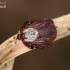 Ornate Cow Tick - Dermacentor reticulatus | Fotografijos autorius : Lukas Jonaitis | © Macronature.eu | Macro photography web site