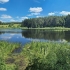 Pakalnių ežeras | Fotografijos autorius : Gintautas Steiblys | © Macrogamta.lt | Šis tinklapis priklauso bendruomenei kuri domisi makro fotografija ir fotografuoja gyvąjį makro pasaulį.