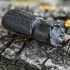 Rhinoceros Stag Beetle - Sinodendron cylindricum ♂ | Fotografijos autorius : Kazimieras Martinaitis | © Macronature.eu | Macro photography web site