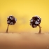 Slime mold - Physarum sp. | Fotografijos autorius : Eglė Vičiuvienė | © Macronature.eu | Macro photography web site