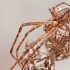 Summer Orbweaver - Metellina mengei  | Fotografijos autorius : Gintautas Steiblys | © Macronature.eu | Macro photography web site