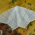 Swallow-tailed moth - Ourapteryx sambucaria | Fotografijos autorius : Žilvinas Pūtys | © Macronature.eu | Macro photography web site