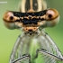 White-legged damselfly - Platycnemis pennipes | Fotografijos autorius : Oskaras Venckus | © Macronature.eu | Macro photography web site