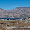 Longyearbyen, Svarbard | Fotografijos autorius : Gediminas Gražulevičius | © Macrogamta.lt | Šis tinklapis priklauso bendruomenei kuri domisi makro fotografija ir fotografuoja gyvąjį makro pasaulį.